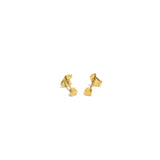 Ghost Studs